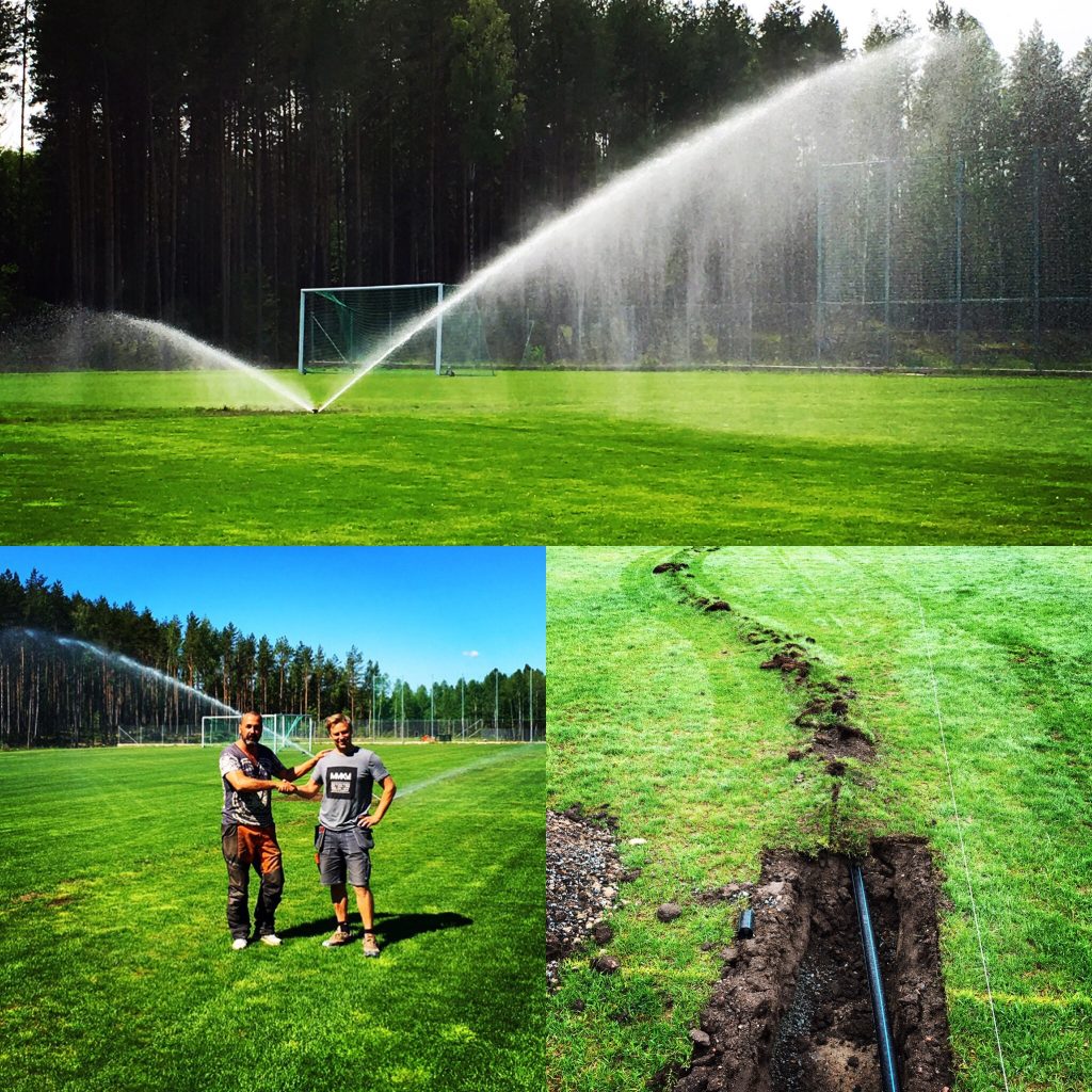 Bevattning Alsike 3 bilder